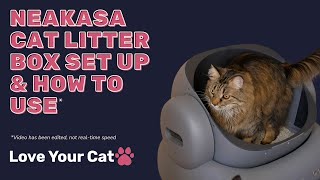 Neakasa Litter Box Reviews My Cat’s SelfCleaning Experience [upl. by Isied276]