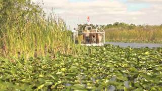 Everglades National Park [upl. by Karen]