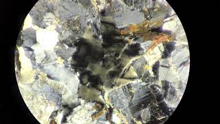 Petrology Thin Section Undulose Quartz in Granite [upl. by Zeugirdor]