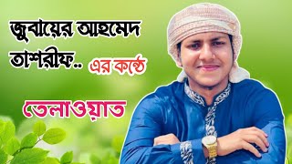 জুবায়ের আহমেদ তাশরিফ এর কন্ঠে অসাধারণ তেলাওয়াত। Jubayer Ahmed Tasrif l [upl. by Kauffman]