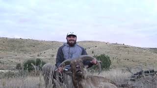 West Texas Aoudad Sheep Hunt [upl. by Kcerb]