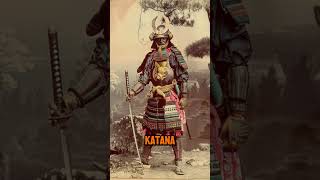 Why did Samurai Carry Two Swords  history facts Samurai JapaneseHistory swords katana [upl. by Eniamahs]