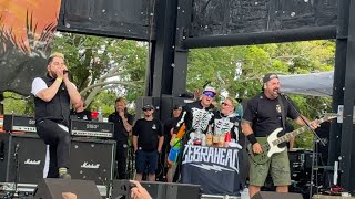 Zebrahead  Anthem Live in Orlando FL 42724 Brightside Music Festival [upl. by Anihcak]