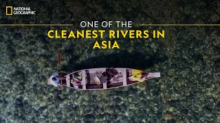 One of the Cleanest Rivers in Asia  It Happens Only in India  National Geographic [upl. by Durwin]