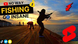 Insane fishing  Tathra wharf Shorts [upl. by Helve]