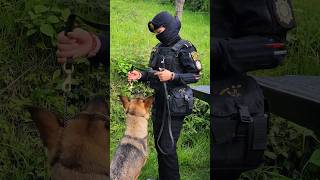 Agente canino Guía9 Antinarcóticos Policías de Guatemala [upl. by Aisinoid]