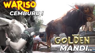 KASIANKARENA CEMBURU GOLDEN SAMPE DICIUM WARISO [upl. by Aifoz862]