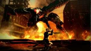 Metal Gear Rising Revengeance  Rules of Nature Metal Gear Ray Boss Battle Extended [upl. by Conrade]