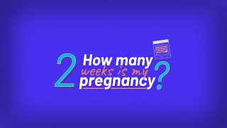 SelfManaged Abortion How Many Weeks Pregnant Am I  Episode 2 [upl. by Adnohr266]