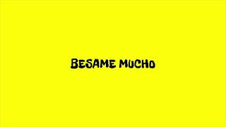 Besame Mucho [upl. by Mellar]