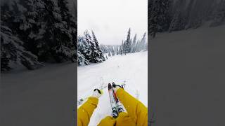 skiing TREES with a layer of FRESH at REVELSTOKE skiing skiingday [upl. by Ailedo725]