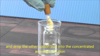 Ammonia amp HCl Diffusion Demonstration [upl. by Georgeta702]