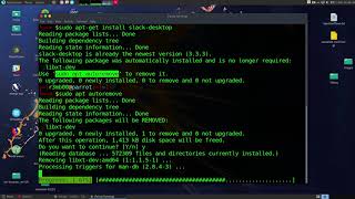 How to install Slack with Terminal on Parrot Security Linux [upl. by Ytissahc825]