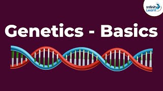 Genetics Basics  Introduction  Dont Memorise [upl. by Jansson508]