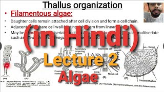 Algae Lecture 2  Thallus Organisation  in Hindi [upl. by Schwenk]