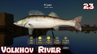 Russian Fishing 4  Volkhov River  Zander Jig Spot [upl. by Tamberg]