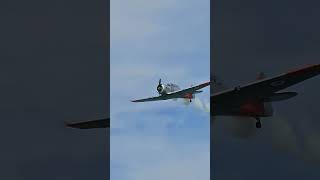 NORTH AMERICAN T6 HARVARD automobile shortvideo aviation airline airshow aerobic [upl. by Bryn]