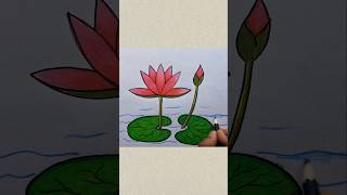 Water Lily drawing shorts waterlily Shorts viral tranding [upl. by Beichner]