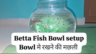 Fish Bowl Setup Bettafish [upl. by Tomasine]