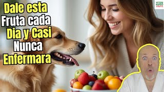 😍 ESTA ES LA FRUTA QUE PUEDEN COMER LOS PERROS TODOS LOS DIAS PARA MEJORAR SU SALUD 😍 [upl. by Eskill573]