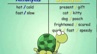 Antonyms and Synonyms [upl. by Theobald]