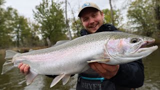 FLOAT FISHING for STEELHEAD  Bobber Down Steelhead Fishing in Michigan [upl. by Boswell]