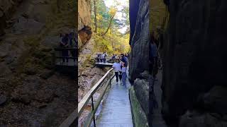 Discovering Flume Gorge in NH 🍁 🍃 🍂 [upl. by Reibaj]