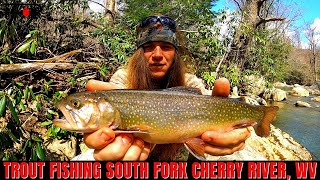 Trout Fishing Cherry River WEST VIRGINIA [upl. by Quartana955]