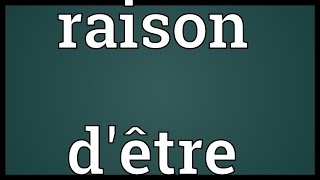 Raison dêtre Meaning [upl. by Einolem]