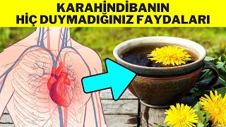 KARAHİNDİBANIN FAYDALARI  KARAHİNDİBA ÇAYI NASIL YAPILIR HİNDİBA OTUNUN FAYDALARI [upl. by Madelina]