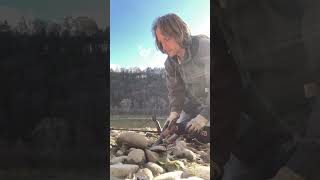 Metal Detecting in Tunkhannock PA Along the Susquehanna River…November 02 2024 336 PM [upl. by Ja]