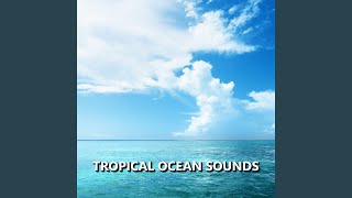 Calm Ocean Sounds [upl. by Shirah]