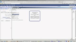 Siebel CRM Demo [upl. by Einegue]