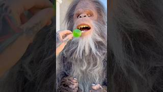 Sasquatch Tries Jelly Fruit 🍏🦶🏽 [upl. by Ainniz]