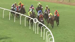 BRIGHTEST STAR with Shivam up wins The Goa Plate Div1 2024 [upl. by Bixler]