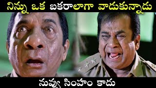 Brahmanandam As Fool Hilarious Comedy Scene  Volga Videos 2018 [upl. by Saks]