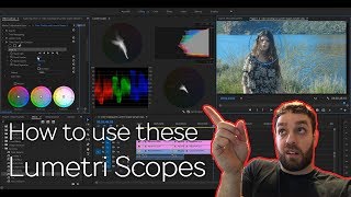 How to Color Grade and Use Lumetri Scopes in Adobe Premiere [upl. by Meryl116]