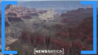 Travel expert shares alternative to visiting overcrowded national parks  Morning in America [upl. by Richela]