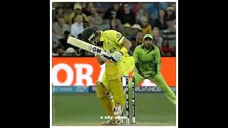 Wahab vs Watson 🥵  cricketworldcup2015 [upl. by Mckenna]