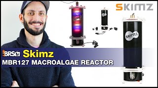 Skimz Macroalgae Reactor MBR127  No room for a refugium Try a compact cheato reactor [upl. by Fagen85]