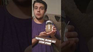 Preparing brown rice grain spawn mycology mushroomspawn mushroomgrowing brownrice mushroomfarm [upl. by Ornstead175]