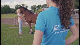 Wat is paardencoaching Door het Centrum Voor Paardencoaching [upl. by Faunie]