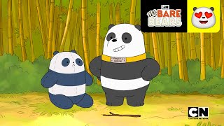 Panda 2  Escandalosos  Cartoon Network [upl. by Garwin]