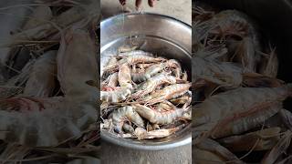 🦐 Delicious Prawns Curry 🤤odia shorts viral trending foryou lunch prawns minivlog [upl. by Keri]