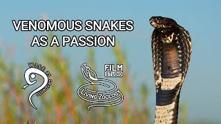 Deadly venomous snakes as a passion young snake catcher speaks about snake conservation Rinkhals [upl. by Intisar]