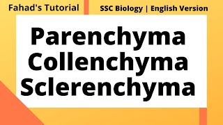 Parenchyma Collenchyma and Sclerenchyma  English Version  Fahads Tutorial [upl. by Massie967]