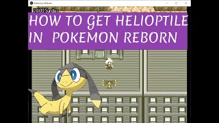 How to get HELIOPTILE in Pokemon REBORN [upl. by Norvin33]