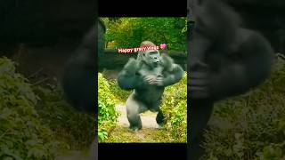 Gorilla Amazing dance😱😃mercyKim viralvideo shortvideo shorts short status nature cute [upl. by Adonis376]