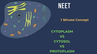 Cytosol vs Cytoplasm vs Protoplasm [upl. by Can506]