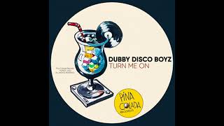 Dubby Diso Boyz  Turn Me On [upl. by Arbma]